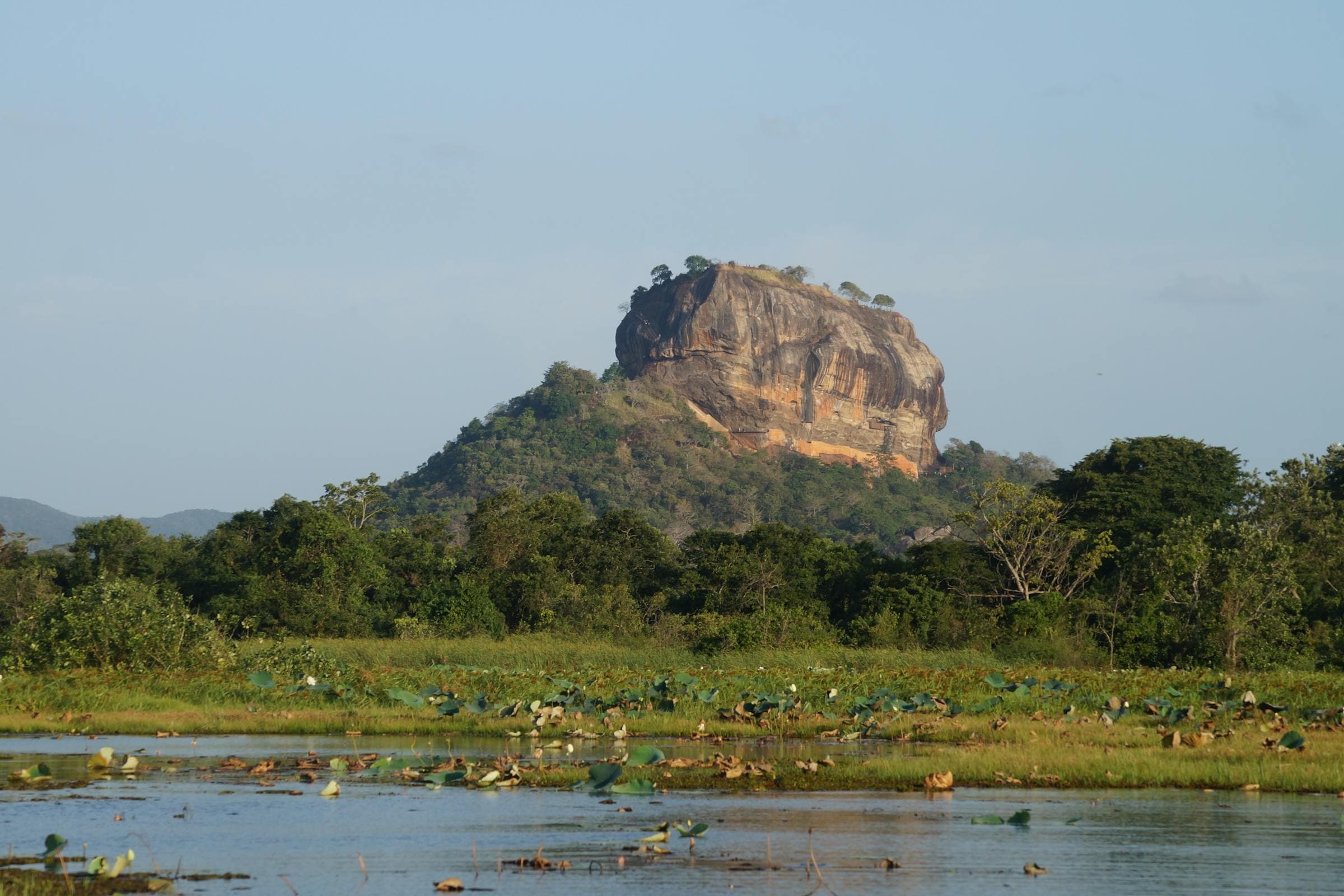 Sigiriya rock fortress rising above the jungle at golden hour