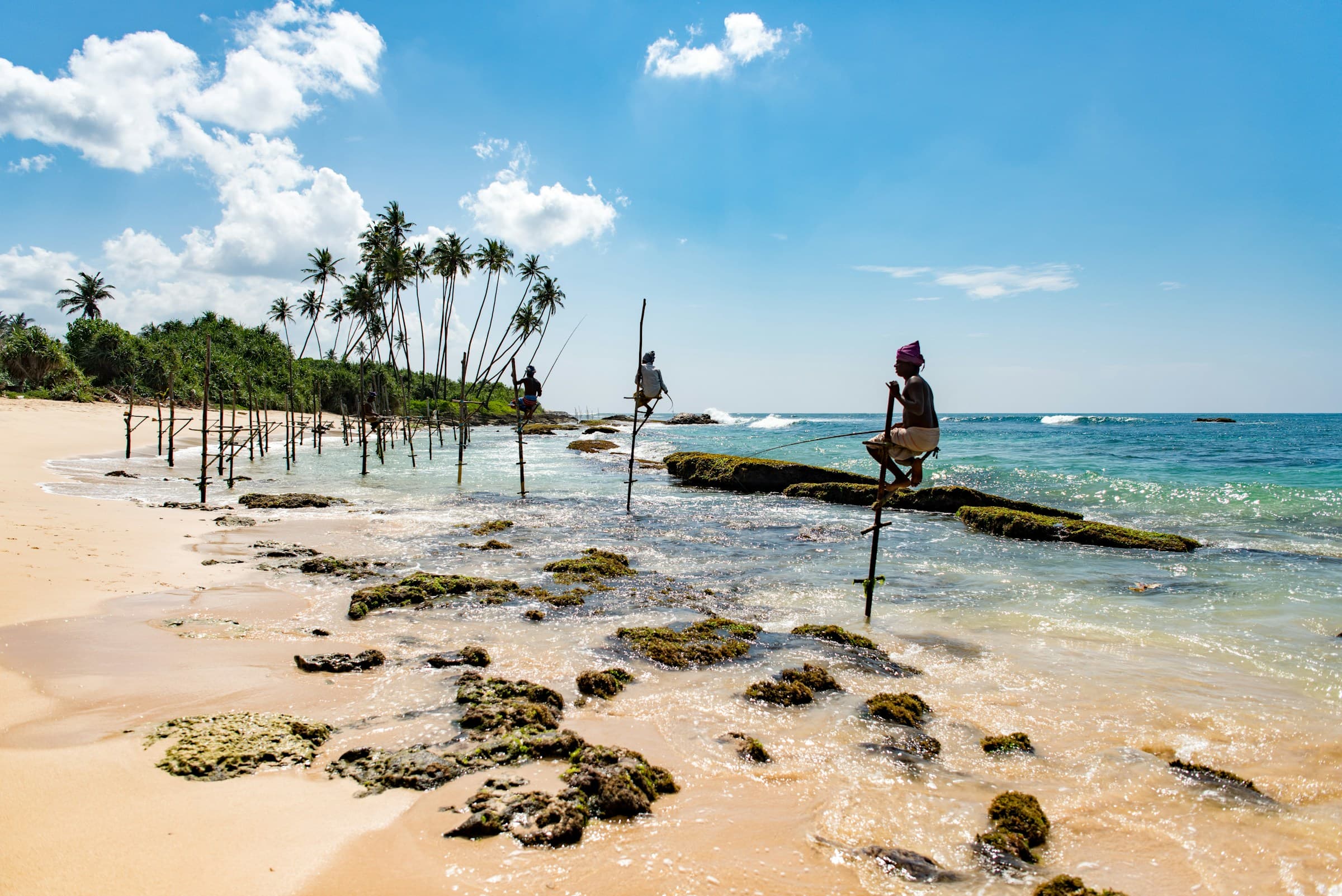 Stilt fishermen on Sri Lanka's southern coast at dusk