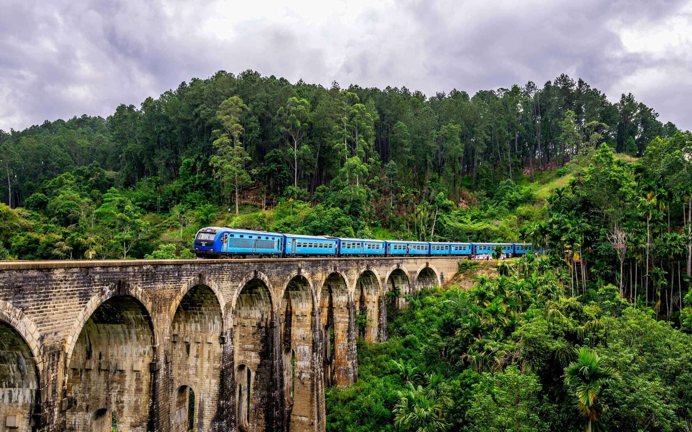 Slow blue train cutting through hill-country tea estates