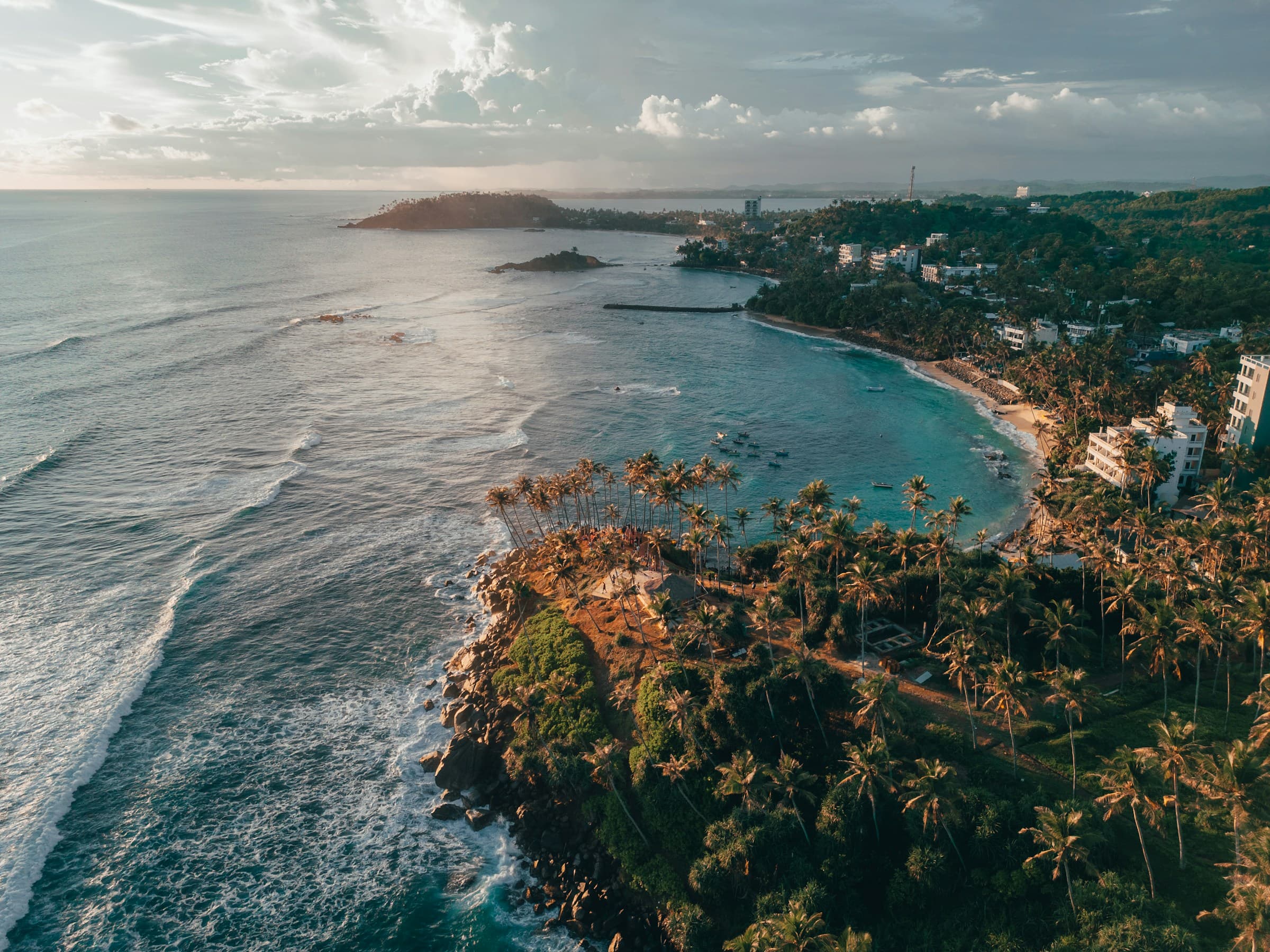 Aerial of palm-lined Mirissa beach