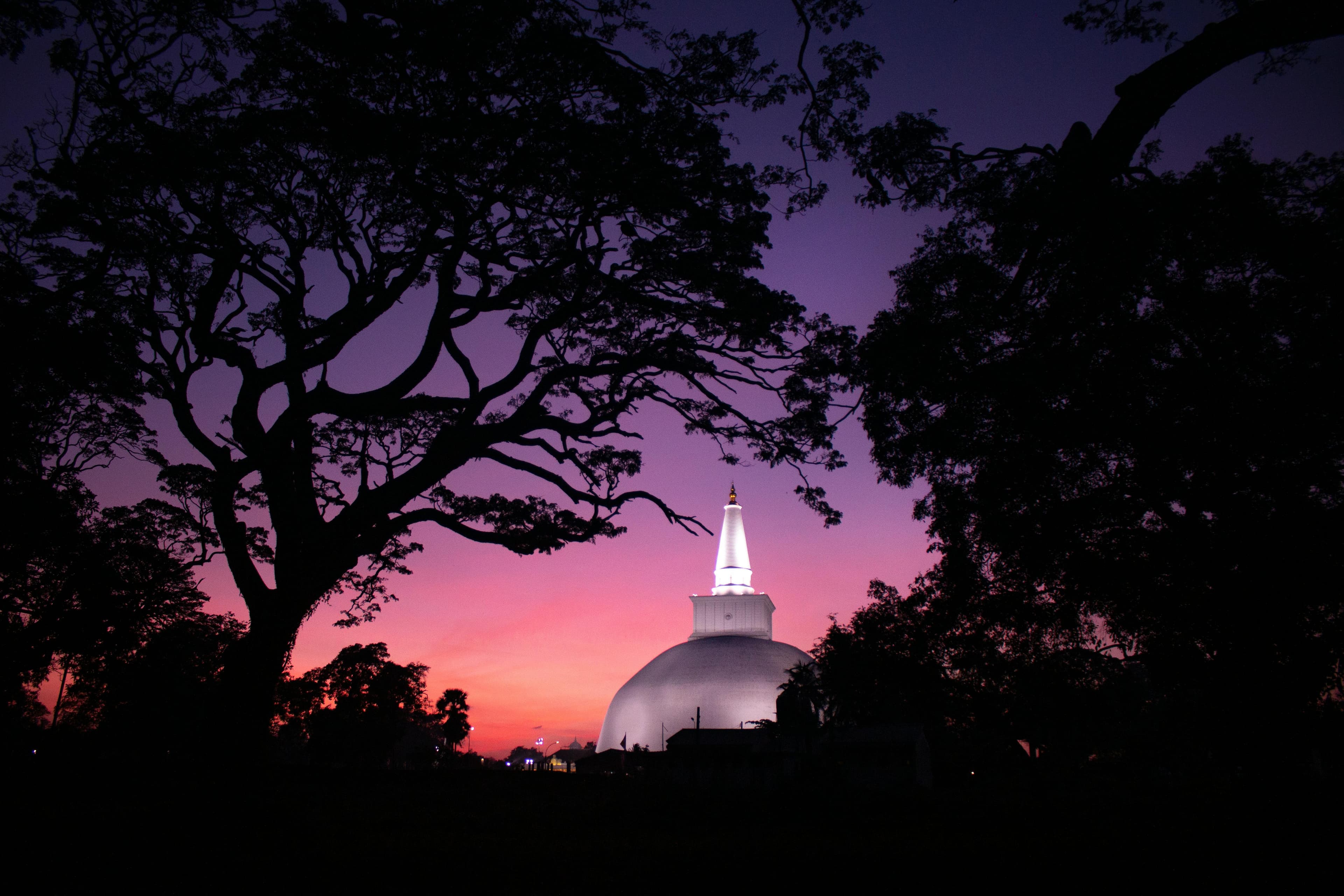 The Sri Lankan hill country