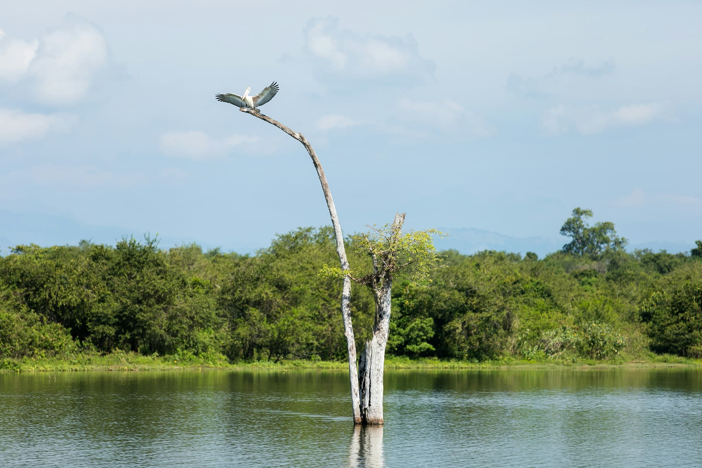A romantic Sri Lankan honeymoon scene