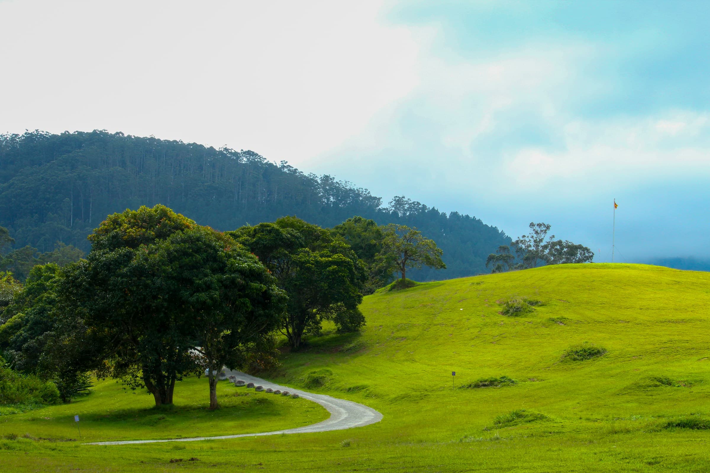 Mist over the protected hill country