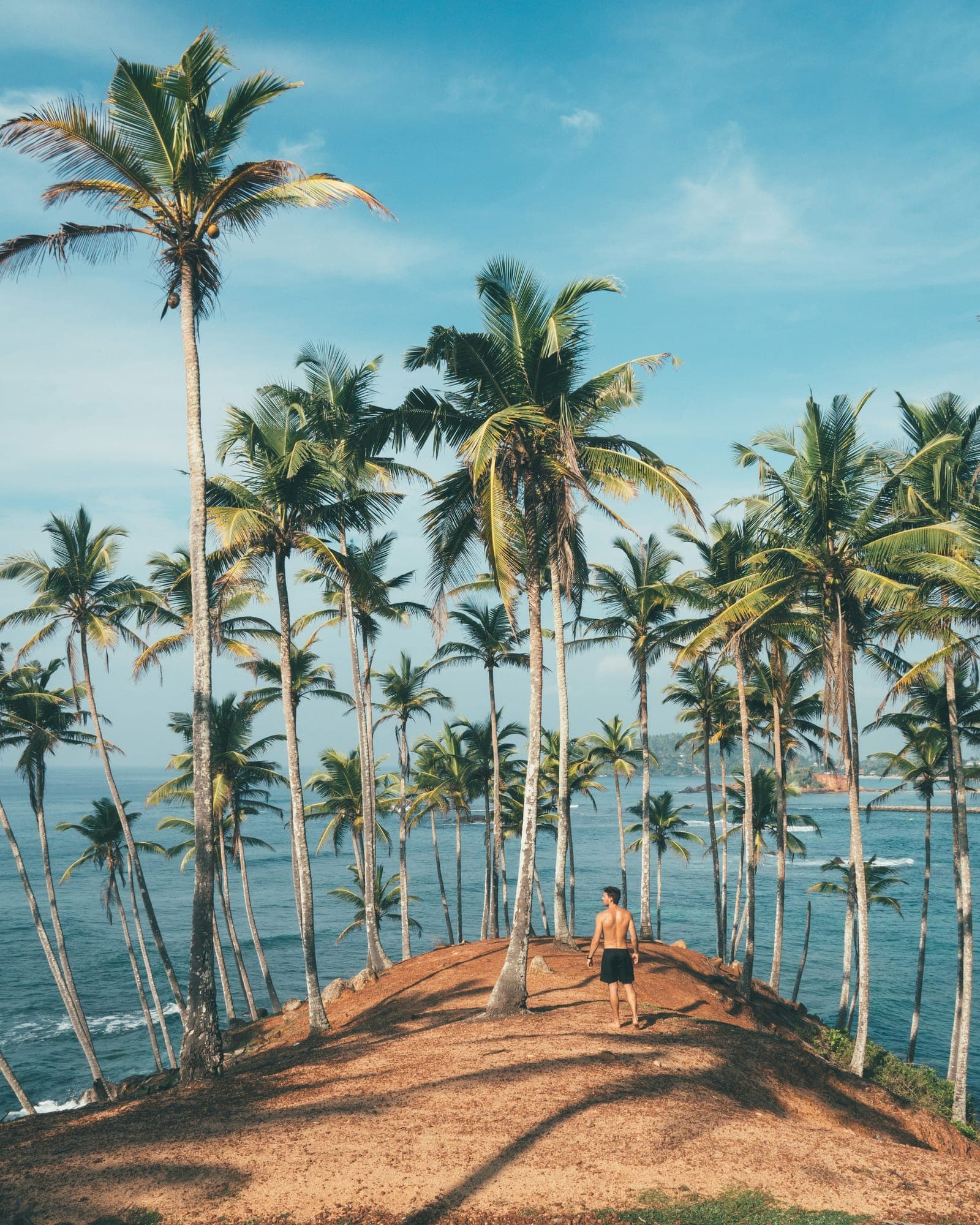 A traveller looking out over palms and the Indian Ocean on the south coast